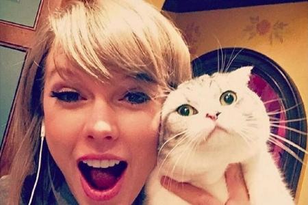 Taylor Swift und ihre Katze Meredith sind die Instagram-Lieblinge 2015