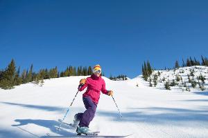 Skifahren in Österreich - Ein teures Vergnügen