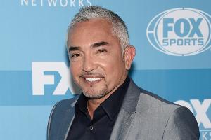 "Hundeflüsterer" Cesar Millan: Stars machen es auch nicht besser