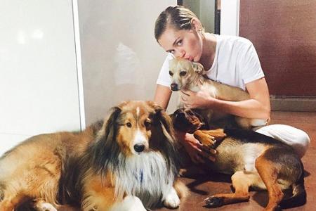 Miley Cyrus hat derzeit drei Hunde - und ein Kätzchen. Emu (l.) wäre allerdings vielleicht nicht bei ihr, wenn im Frühjahr 2...