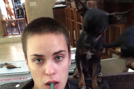 ... Auf dem Foto ihrer Schwester Tallulah Willis muss man ein bisschen suchen, um das Hündchen zu entdecken. 