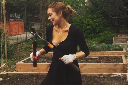 Lindsay Lohan (29, 