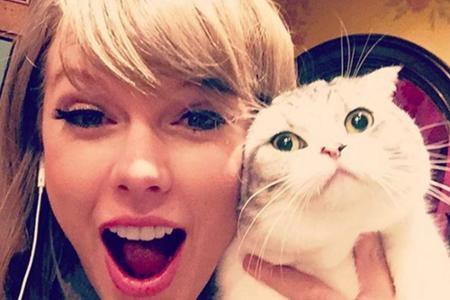 Und dann kommt auch schon wieder Taylor Swift. Dieses Mal lacht sie mit ihrer Katze Meredith in die Kamera. Wobei bei dem Ha...