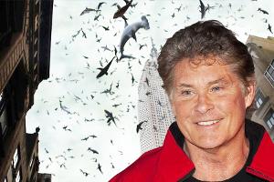 David Hasselhoff verspricht für "Sharknado 3" das Schlimmste