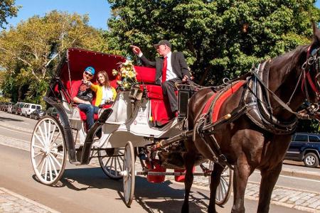 Ein Muss beim New-York-Besuch: Pferdekutschenfahrt durch den Central Park