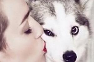 Miley Cyrus vermisst den kleinen Floyd noch immer