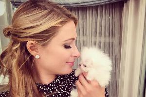 Paris Hilton freut sich über neue Luxus-Hündchen