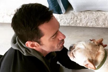 Hugh Jackman gibt Hund Dali ein Küsschen. Hugh Jackman gibt Hund Dali ein Küsschen.