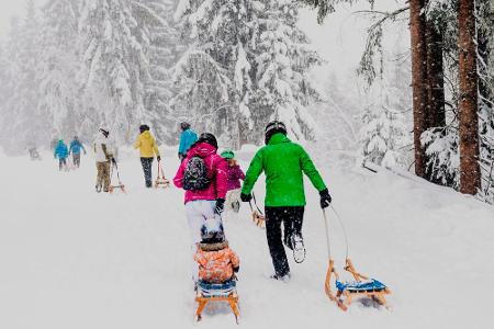Sicher für Familien mit Kindern: Mond-Rodelbahn Söll