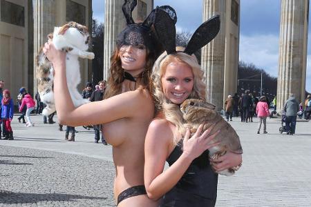 Micaela Schäfer (li.) und Geissen-Star Mandy Lange als Osterbunnys vor dem Brandenburger Tor in Berlin Micaela Schäfer (li.) und Geissen-Star Mandy Lange als Osterbunnys vor dem Brandenburger Tor in Berlin