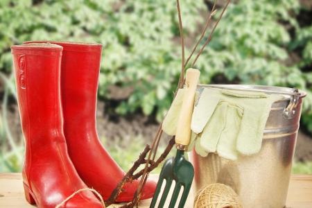 Wer einen Garten hat, sollte sich im April an die Arbeit machen Wer einen Garten hat, sollte sich im April an die Arbeit machen