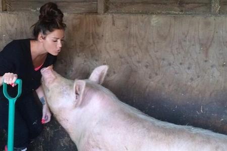 Katie Price hat schon viel Erfahrung mit Schweinen