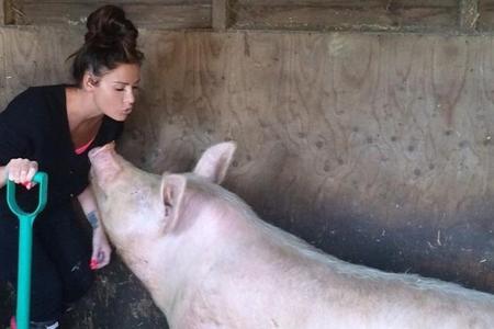 Katie Price hat schon viel Erfahrung mit Schweinen Katie Price hat schon viel Erfahrung mit Schweinen