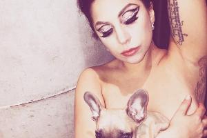 Lady Gaga präsentiert sich oben ohne