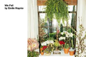 Emile Haynie: Trennung mit Ergebnissen
