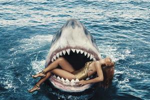 Promi-Bild des Tages