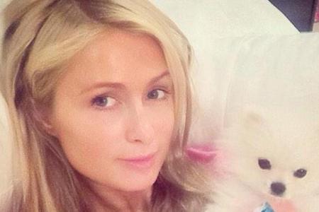 Nicht ohne meinen Hund: Paris Hilton nimmt ihr Schoßhündchen sogar mit ins Bett.