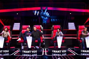 "The Voice of Germany": Die Coaches unter der Lupe