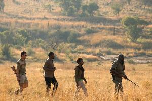 Ruf der Wildnis in Südafrika