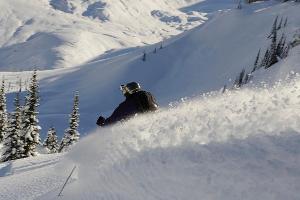 Heliskiing unterm Weihnachsbaum