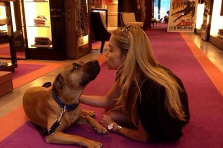 Sylvie Meis hat ihren Patenhund wieder Sylvie Meis hat ihren Patenhund wieder