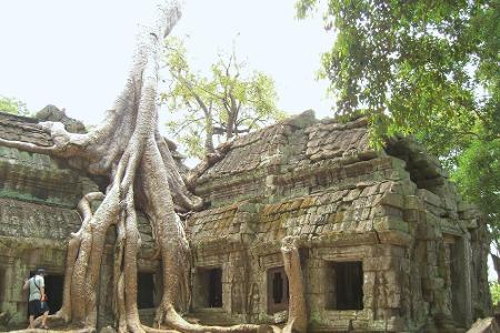 Aus dem 12. Jahrhundert: Ta Phrom in Angkor