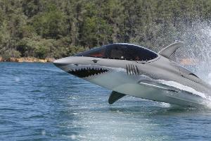 Verrückte Mobilität: Haifisch oder Doppelbett?