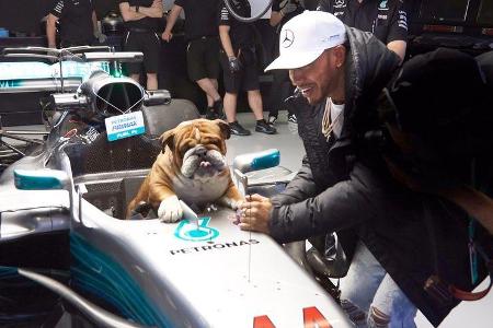 Lewis Hamilton - Mercedes - Roscoe - Formel 1 - GP Spanien - 12. Mai 2017