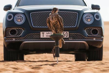 05/2017 Bentley Bentayga Falconry