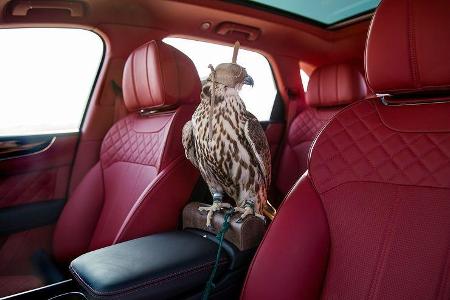 05/2017 Bentley Bentayga Falconry