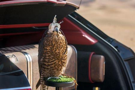 05/2017 Bentley Bentayga Falconry