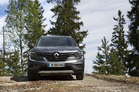 Renault Koleos 2.0 4WD Fahrbericht Offroad