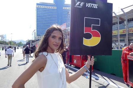 Grid Girls - GP Aserbaidschan 2017 - Baku