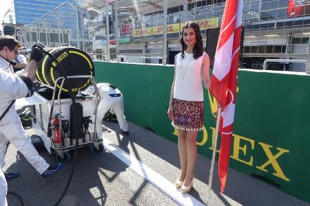 Grid Girls - GP Aserbaidschan 2017 - Baku