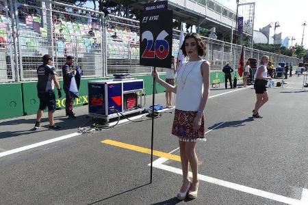 Grid Girls - GP Aserbaidschan 2017 - Baku
