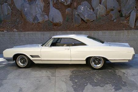Eine echte Wildkatze ist dieser Buick Wildcat.