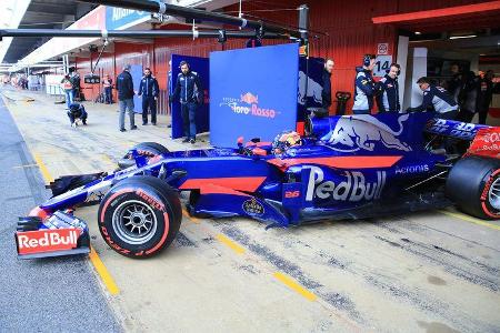 Daniil Kvyat - Toro Rosso - Formel 1 - Test - Barcelona - 9. März 2017