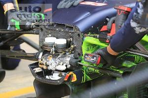 Red Bull-Nase im Detail