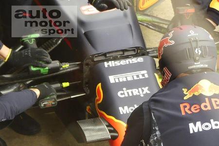 Red Bull - Technik - Nase - Formel 1 - 2017