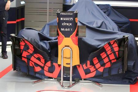 Red Bull - Technik - Nase - Formel 1 - 2017