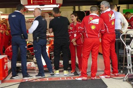 Shield - Ferrari - Formel 1 - GP England - 13. Juli 2017