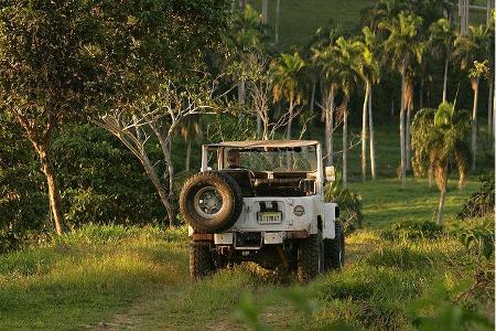 Kleine Pfade sind im Urwald der Dominikanischen Republik die wichtigsten Verkehrsadern.