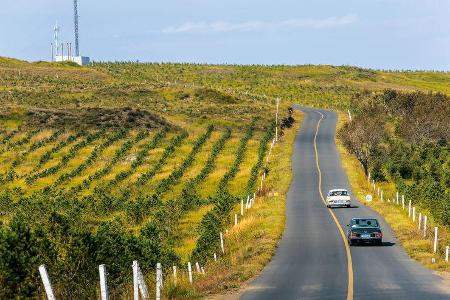 China-Rallye, Impression, Reportage