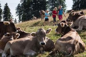 Geführte Wanderungen in Isny / Allgäu