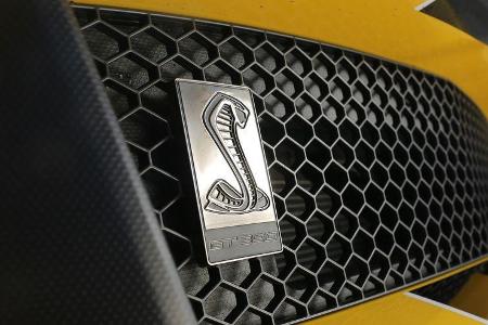 Mustang Shelby GT350, Logo