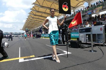 Grid Girls - GP Malaysia 2016 - Sepang