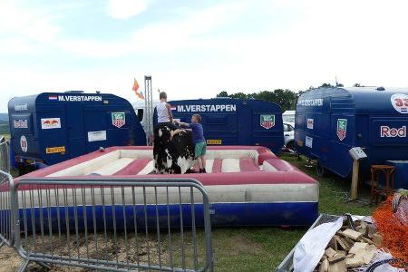 Max Verstappen-Fans - GP Belgien - Spa-Franchorchamps - Formel 1 - 23. August 2017