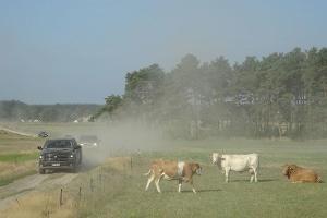 Geländewagen-Tour in Brandenburg 2017