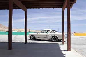 Shelby Mustang GT350R von der Original Venice Crew