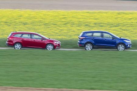 Ford Focus und Ford Kuga